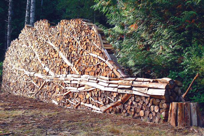 Bay Area Firewood